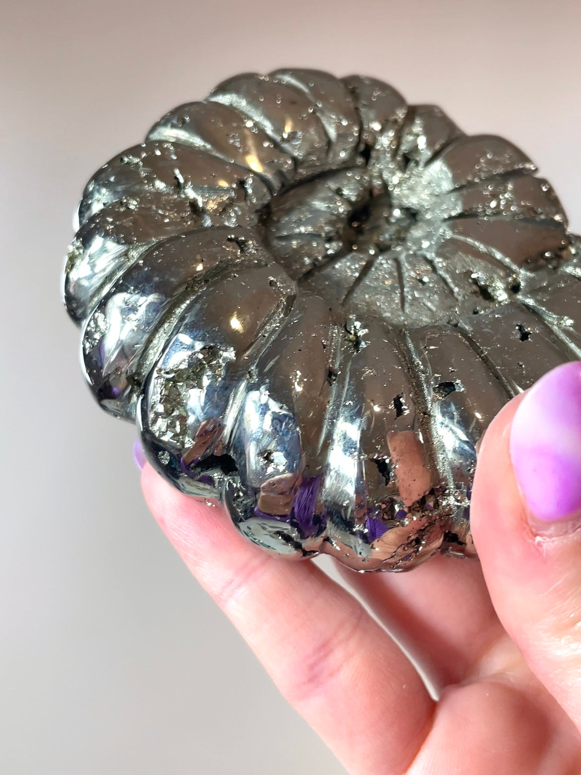 Ammonite en Pyrite