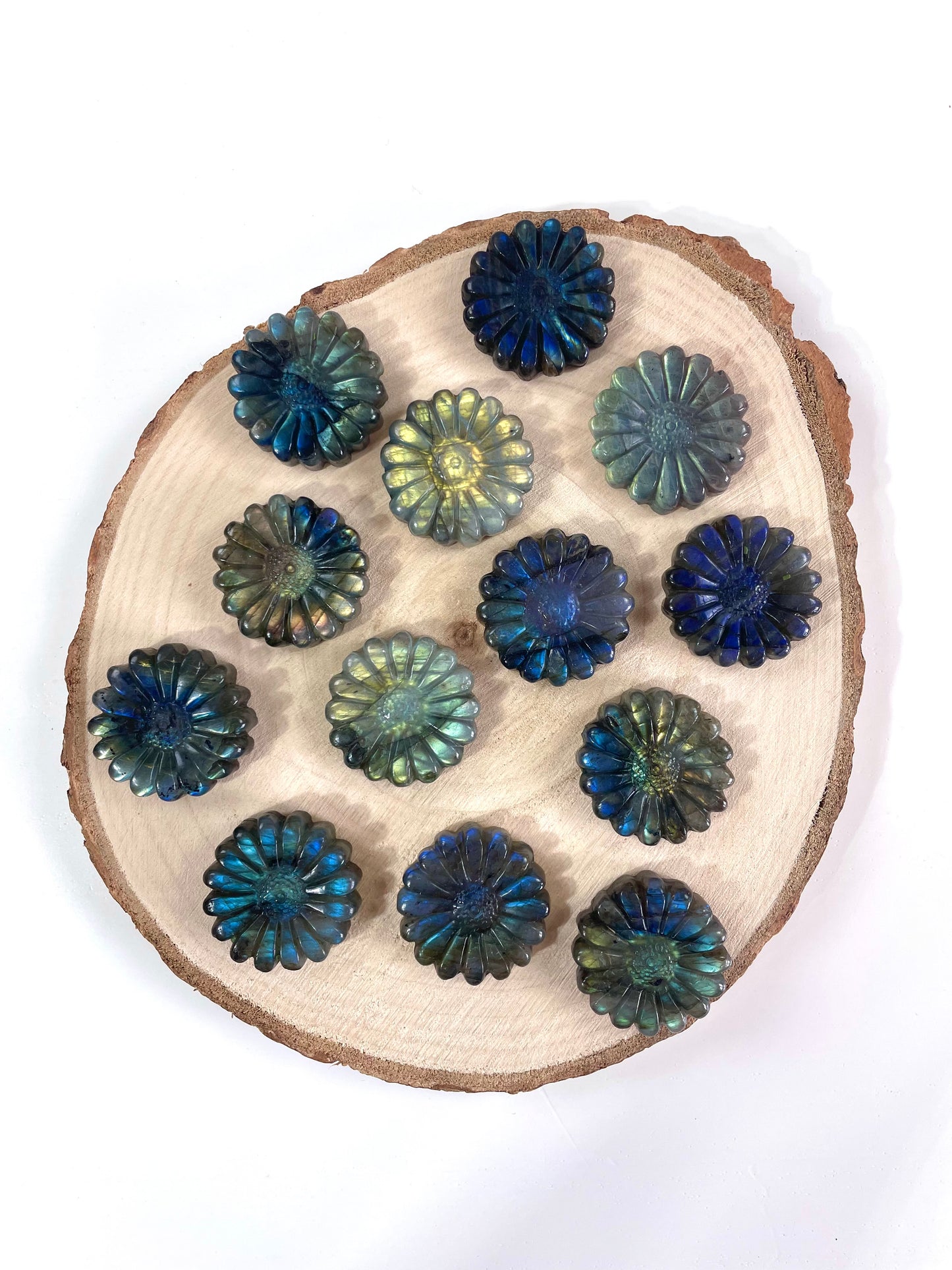 Fleurs Marguerite Labradorite