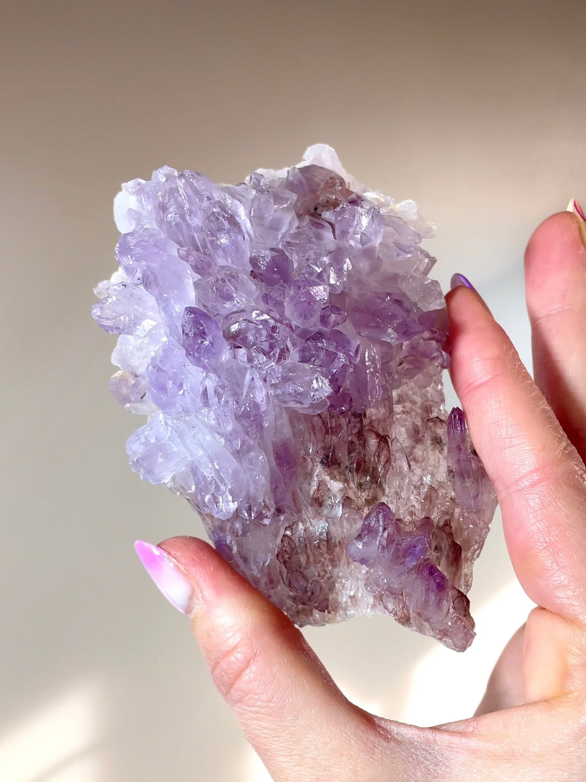 Fleurs d'Améthyste du Brésil