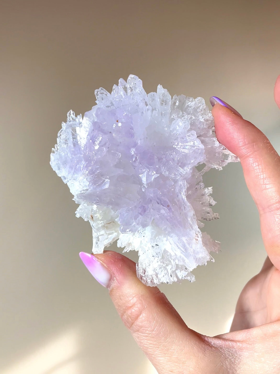 Fleurs d'Améthyste du Brésil