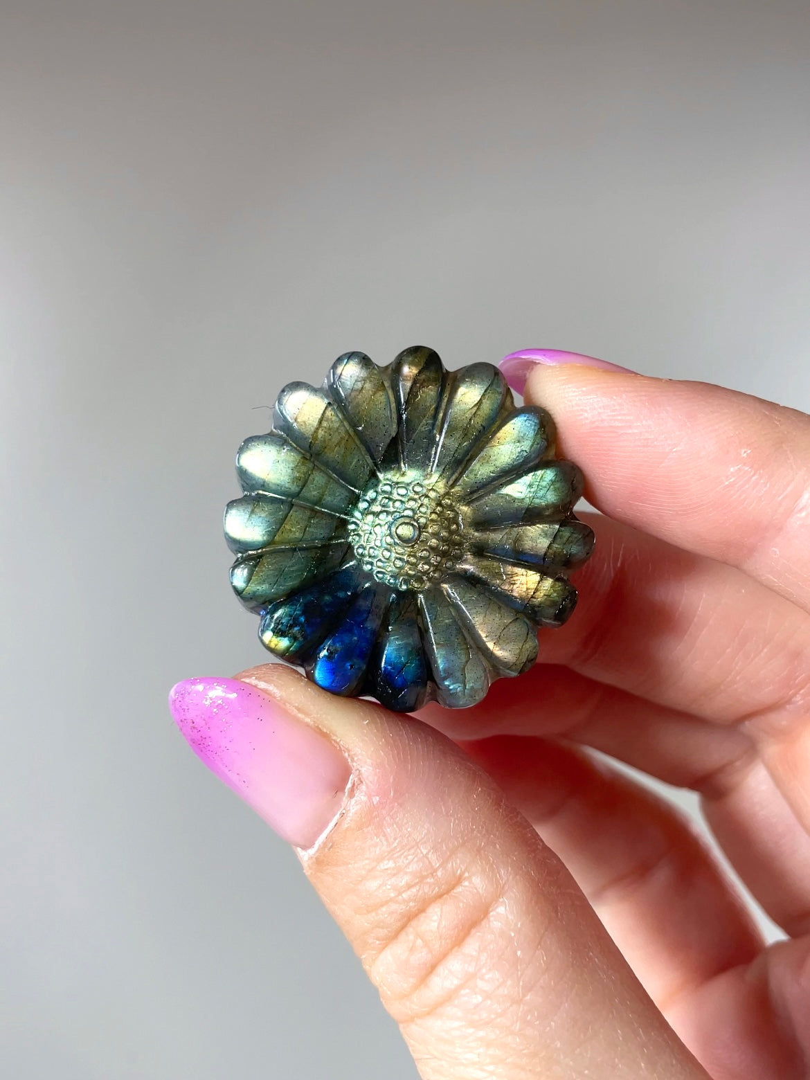 Fleurs Marguerite Labradorite