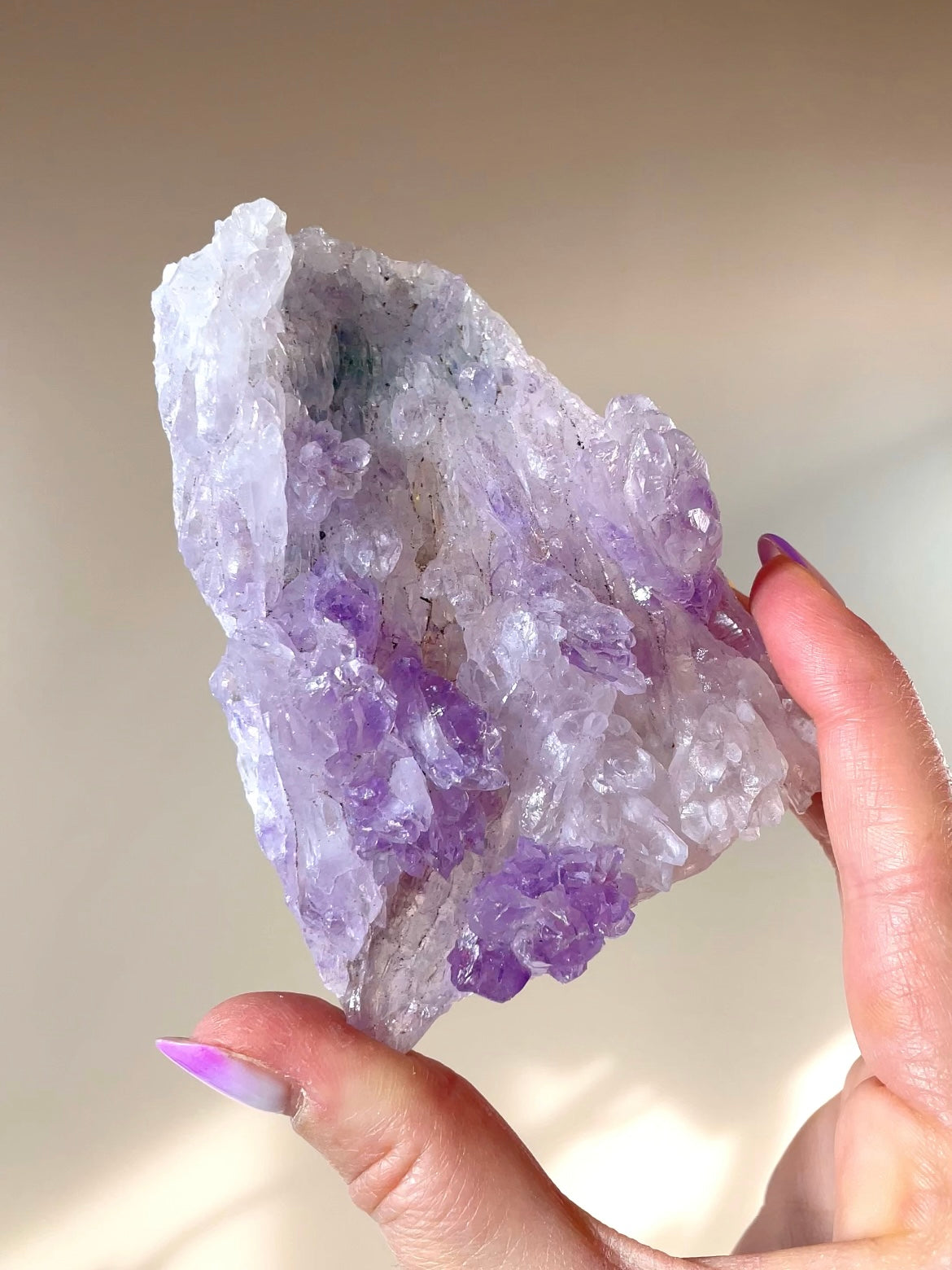 Fleurs d'Améthyste du Brésil