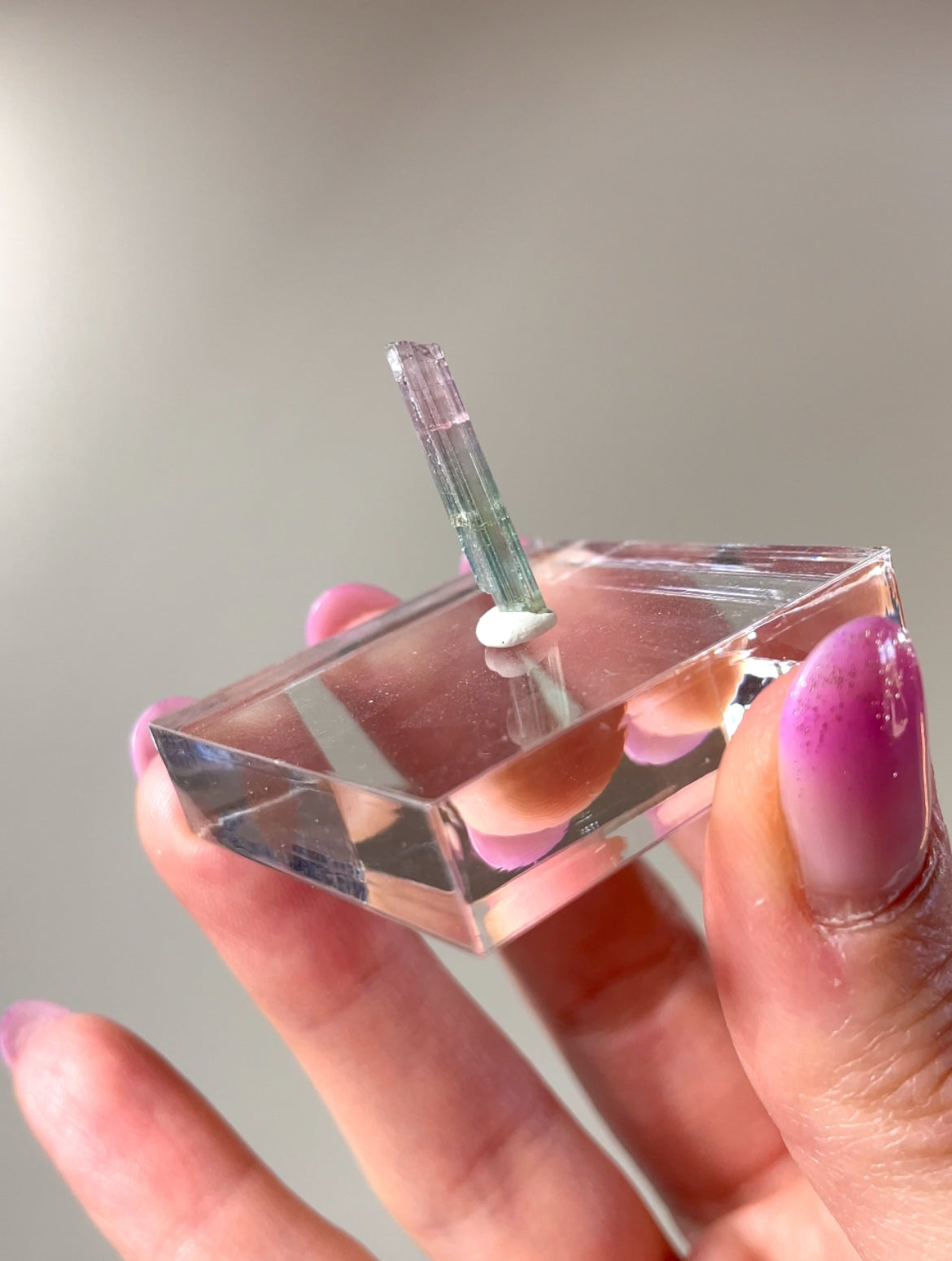 Pointes Tourmaline bicolore