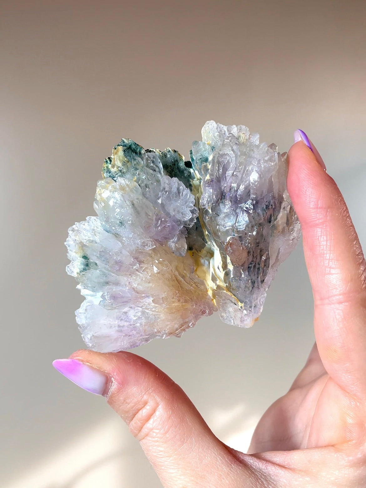 Fleurs d'Améthyste du Brésil