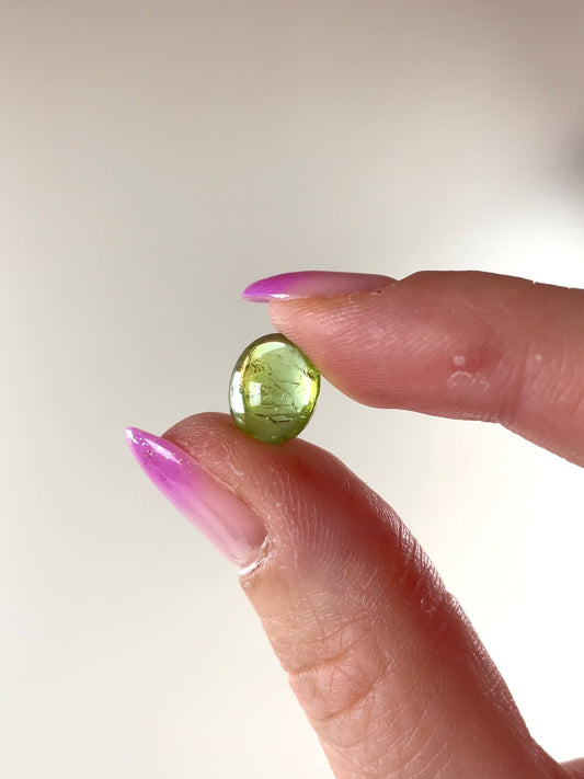 Cabochons Tourmaline multicolore