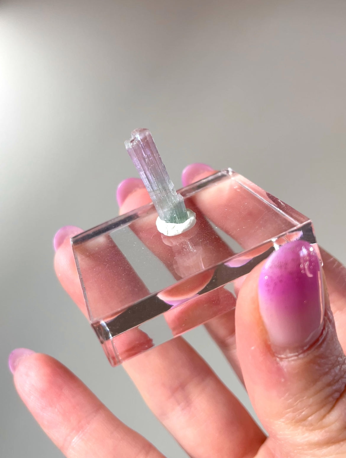 Pointes Tourmaline bicolore