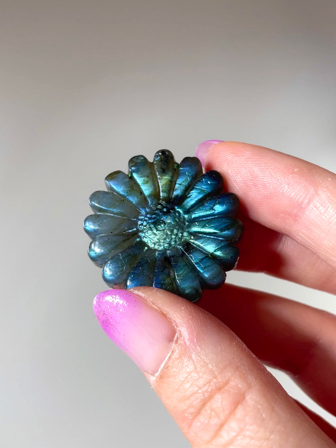 Fleurs Marguerite Labradorite