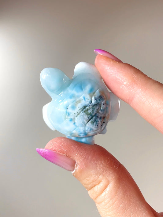 Tortue Larimar