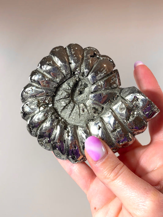 Ammonite en Pyrite