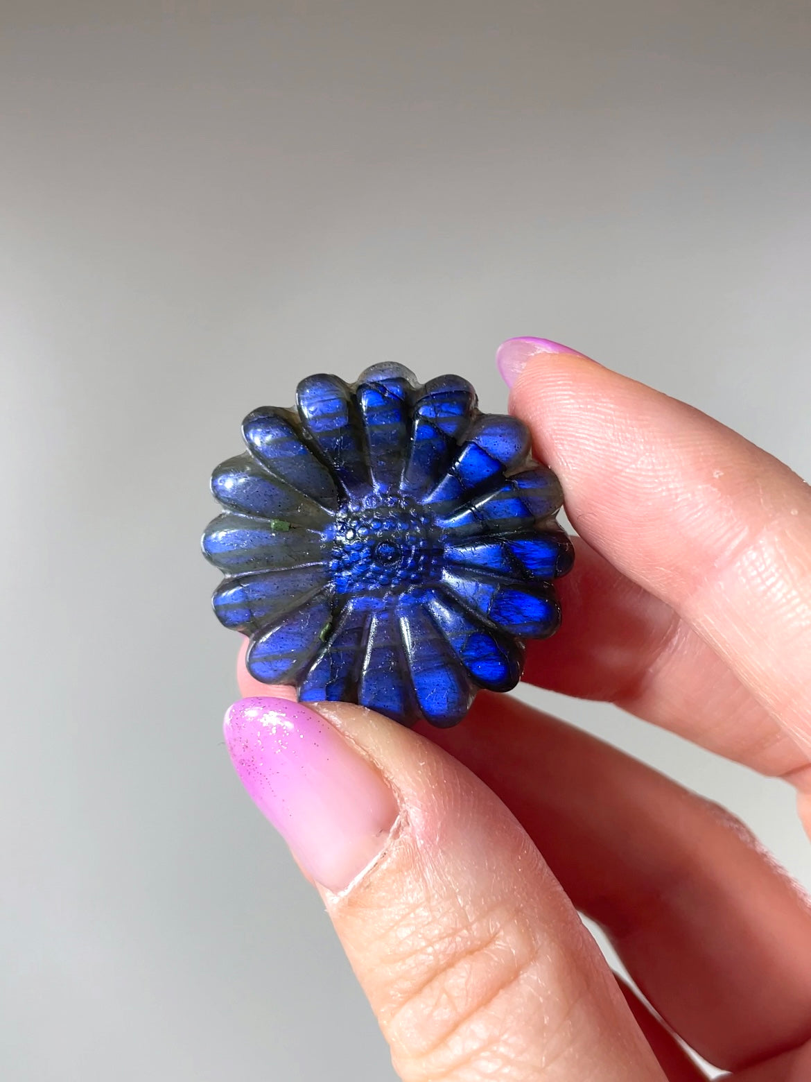 Fleurs Marguerite Labradorite