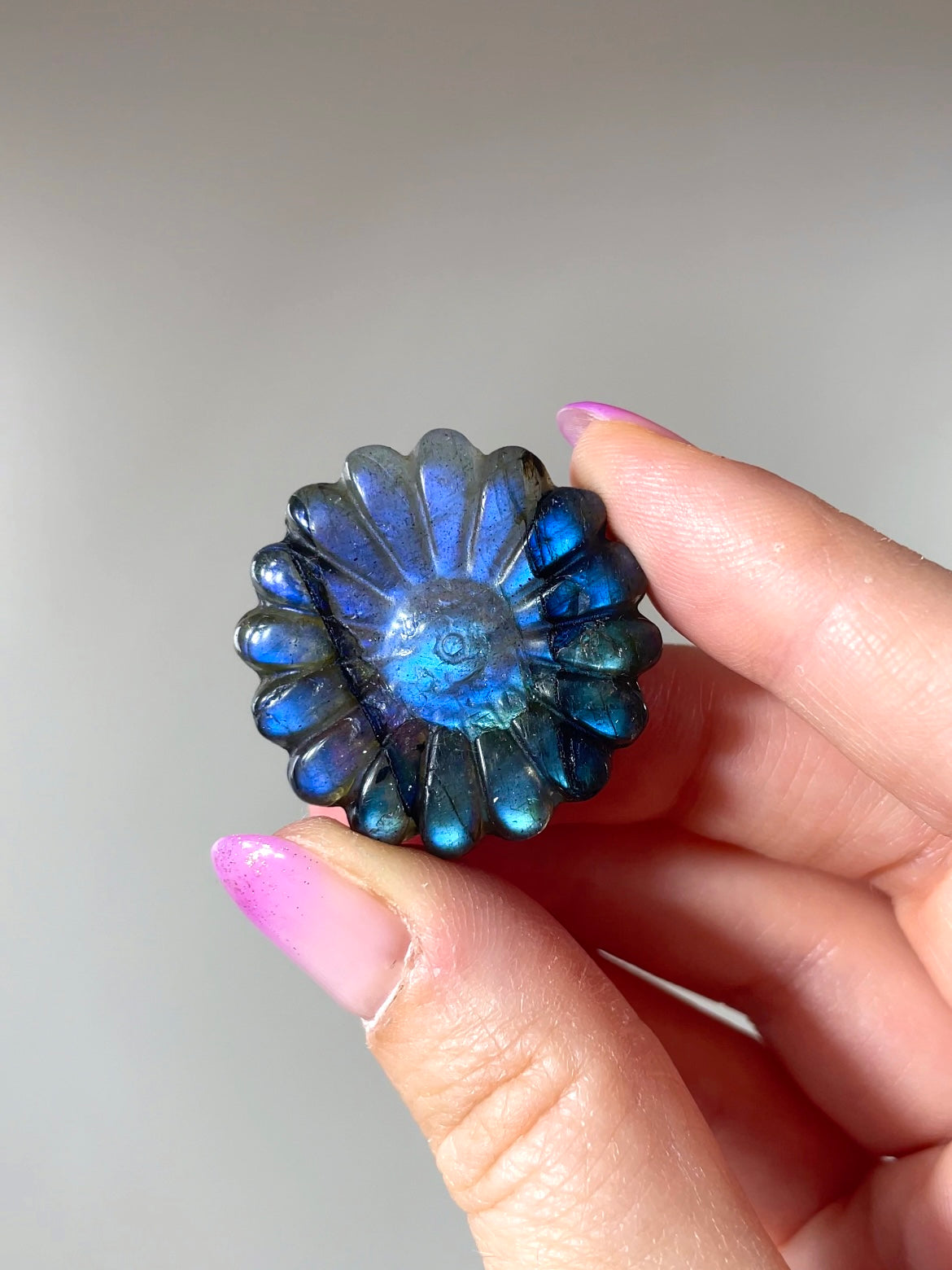 Fleurs Marguerite Labradorite