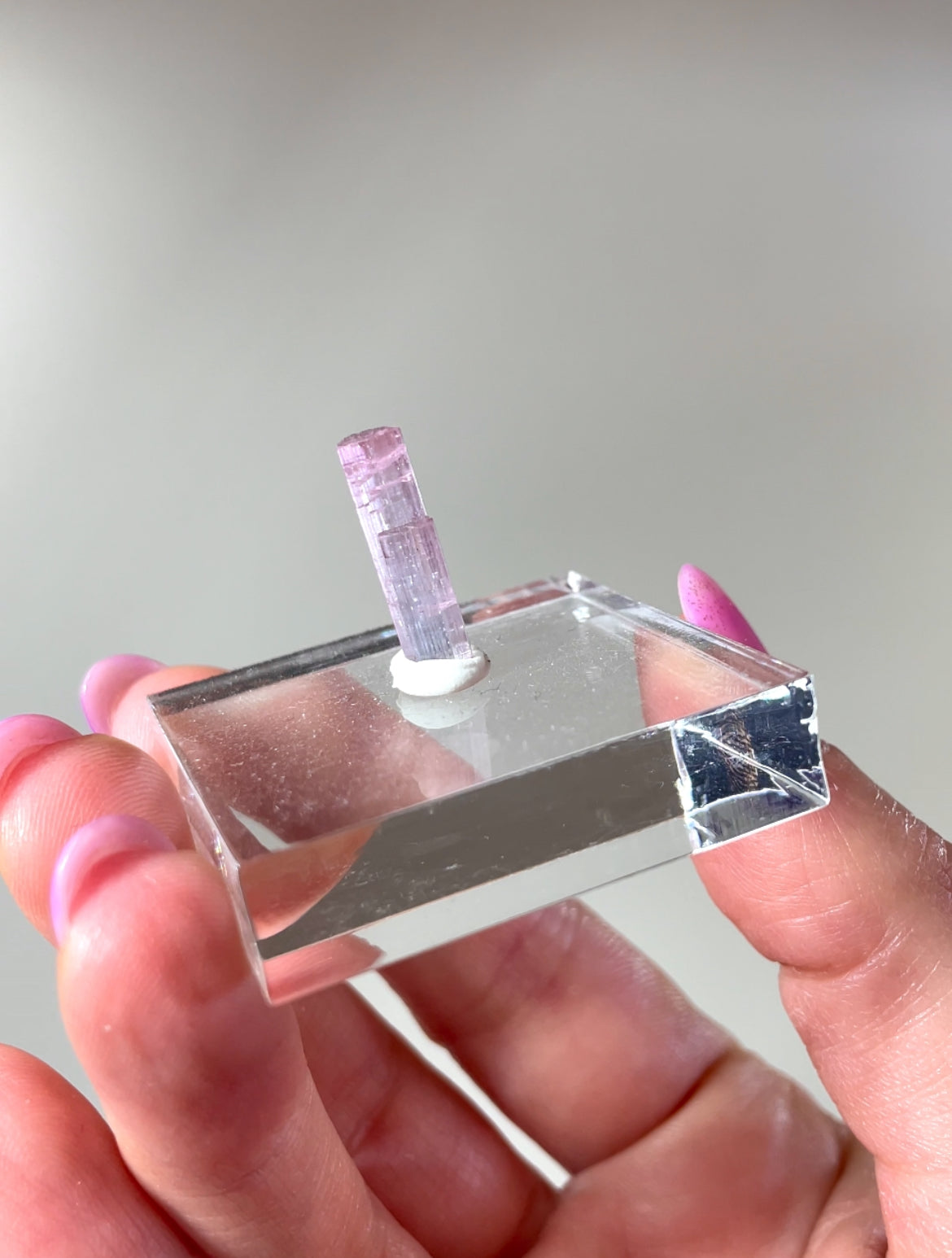 Pointes Tourmaline bicolore