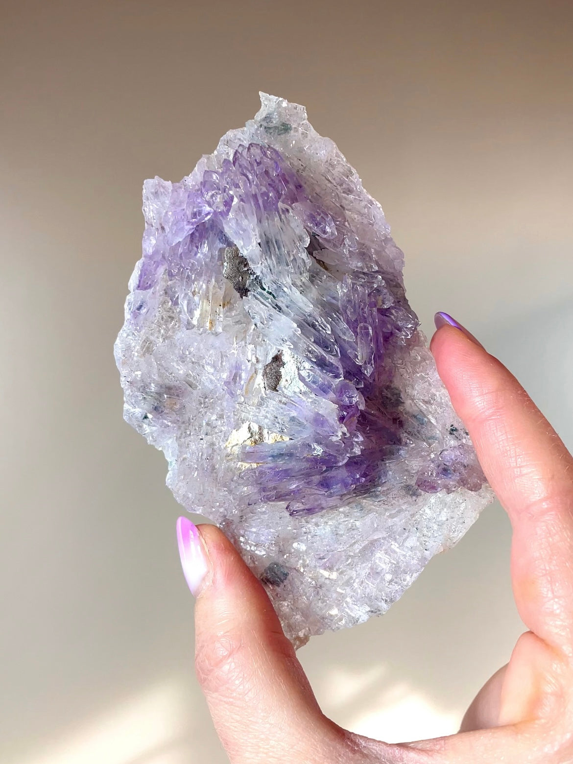 Fleurs d'Améthyste du Brésil