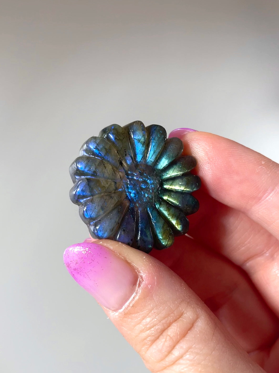 Fleurs Marguerite Labradorite