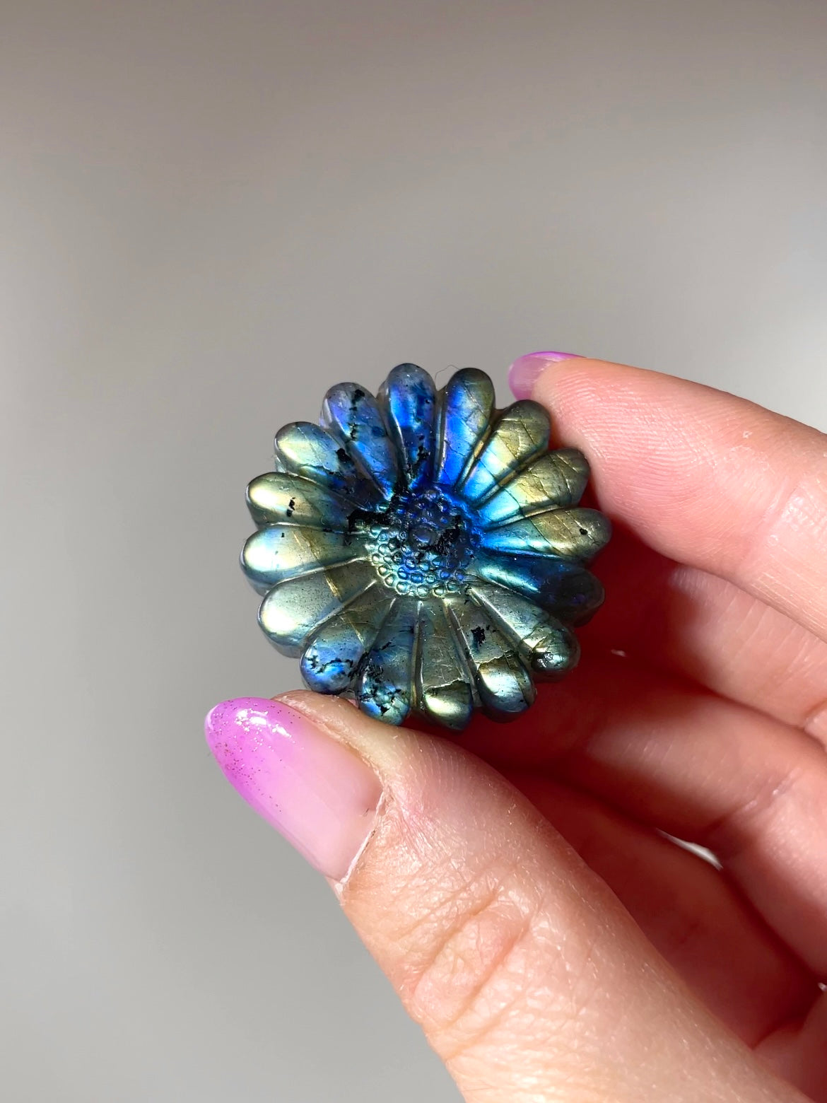 Fleurs Marguerite Labradorite