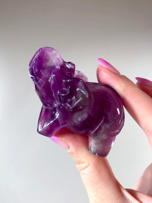 Éléphant Fluorite