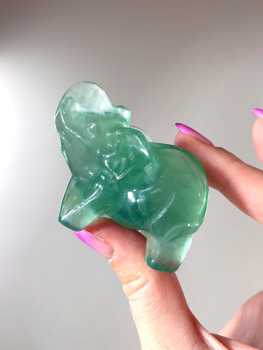 Éléphant Fluorite