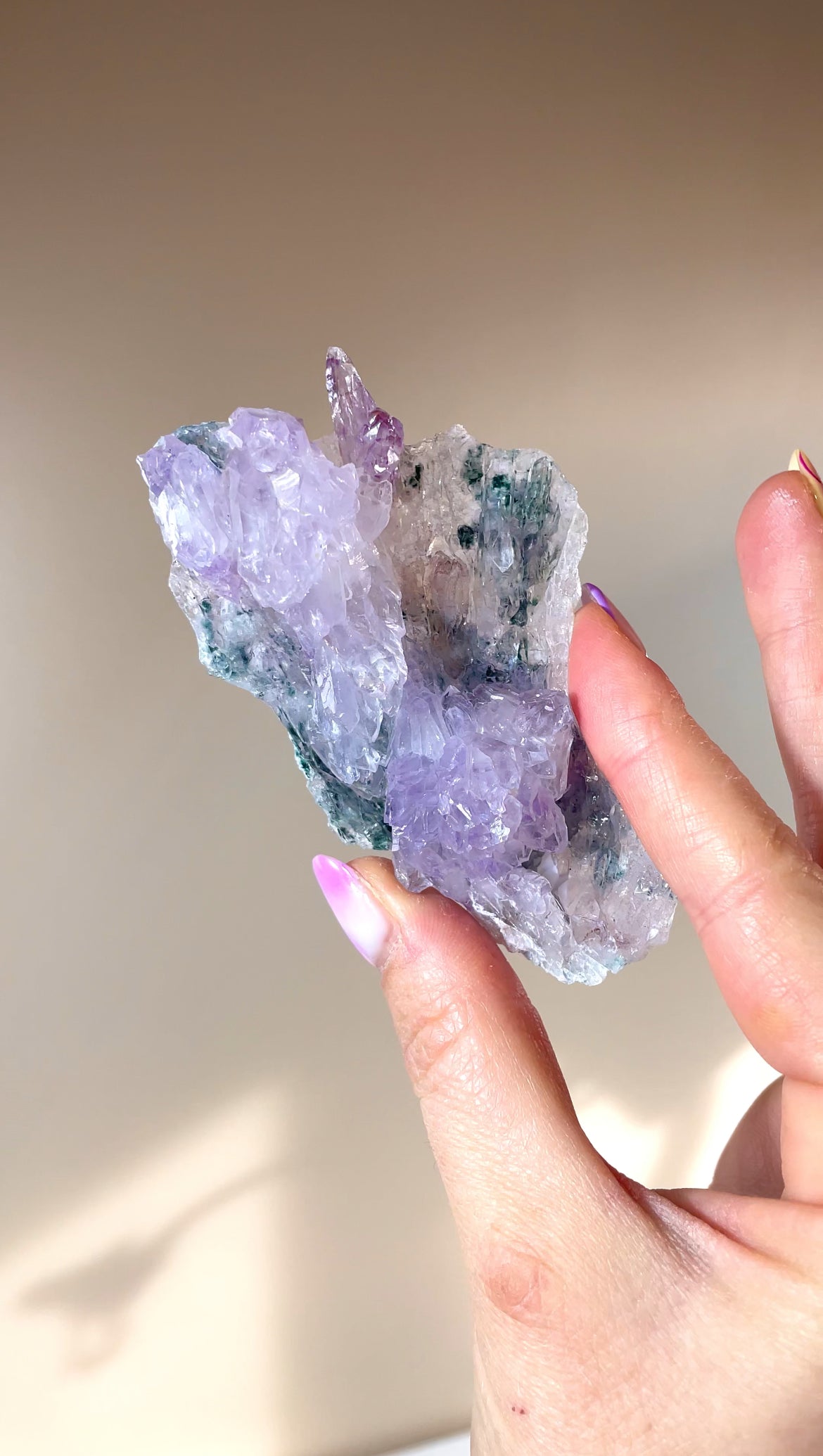 Fleurs d'Améthyste du Brésil