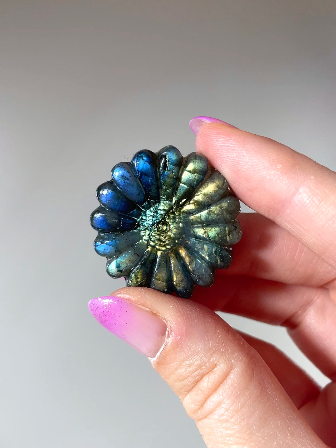 Fleurs Marguerite Labradorite