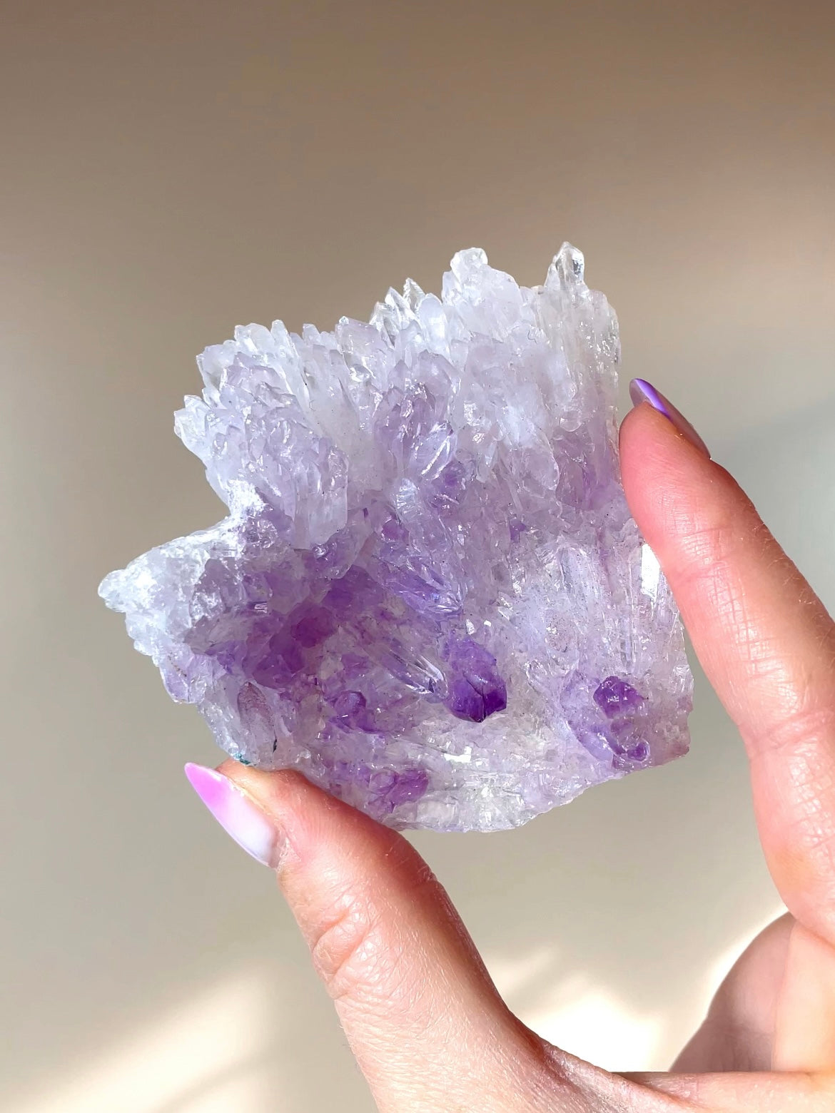 Fleurs d'Améthyste du Brésil