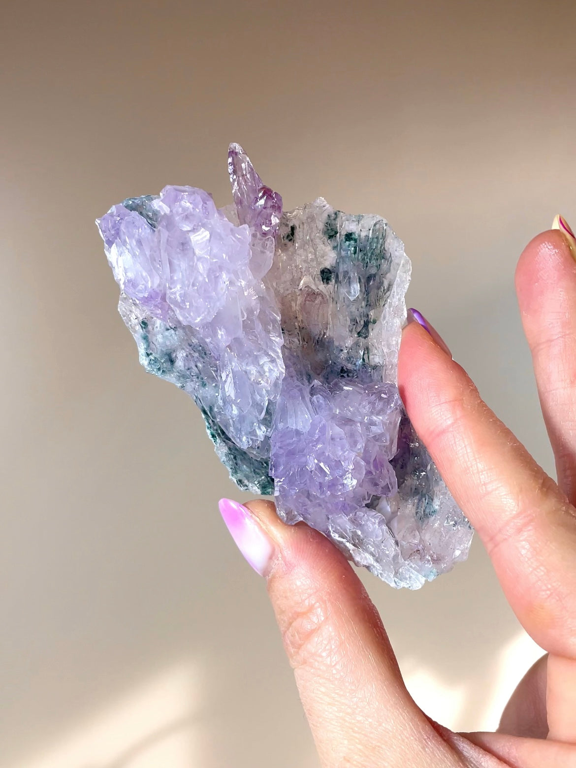 Fleurs d'Améthyste du Brésil