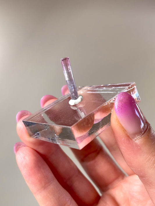 Pointes Tourmaline bicolore