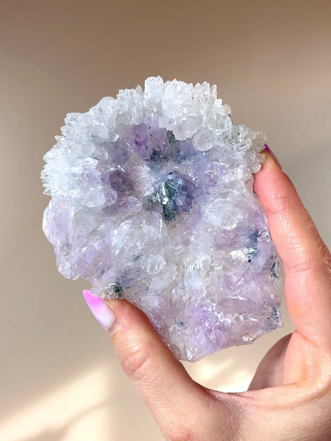 Fleurs d'Améthyste du Brésil