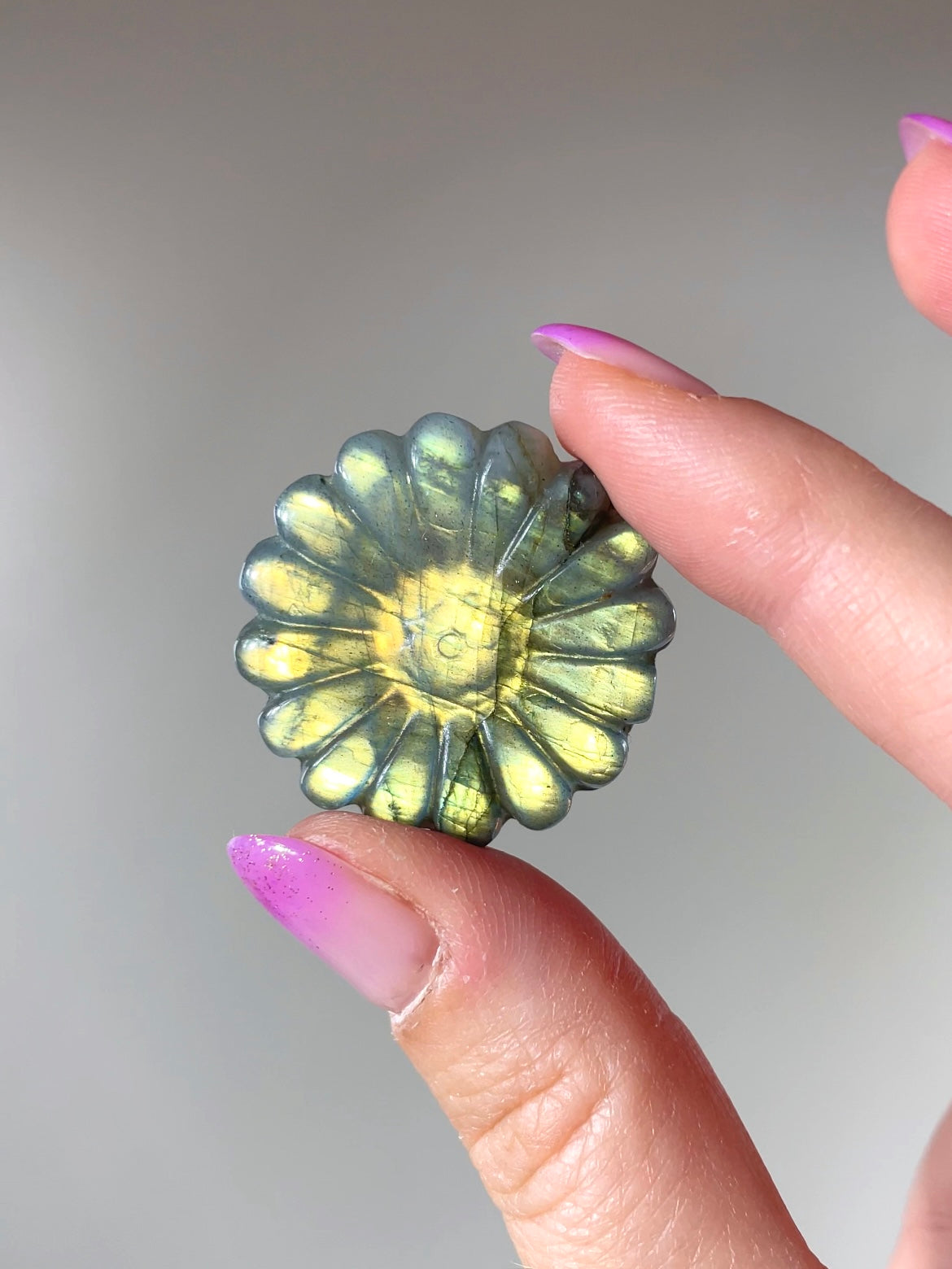 Fleurs Marguerite Labradorite