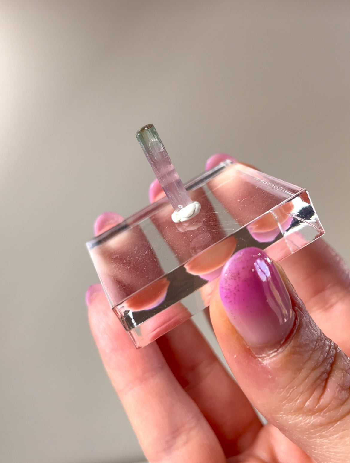 Pointes Tourmaline bicolore