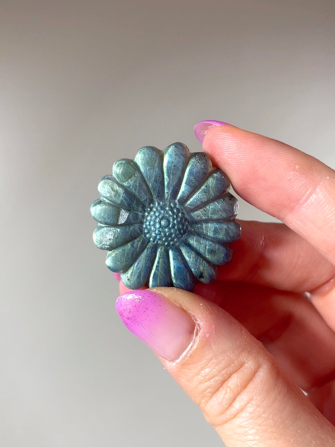 Fleurs Marguerite Labradorite