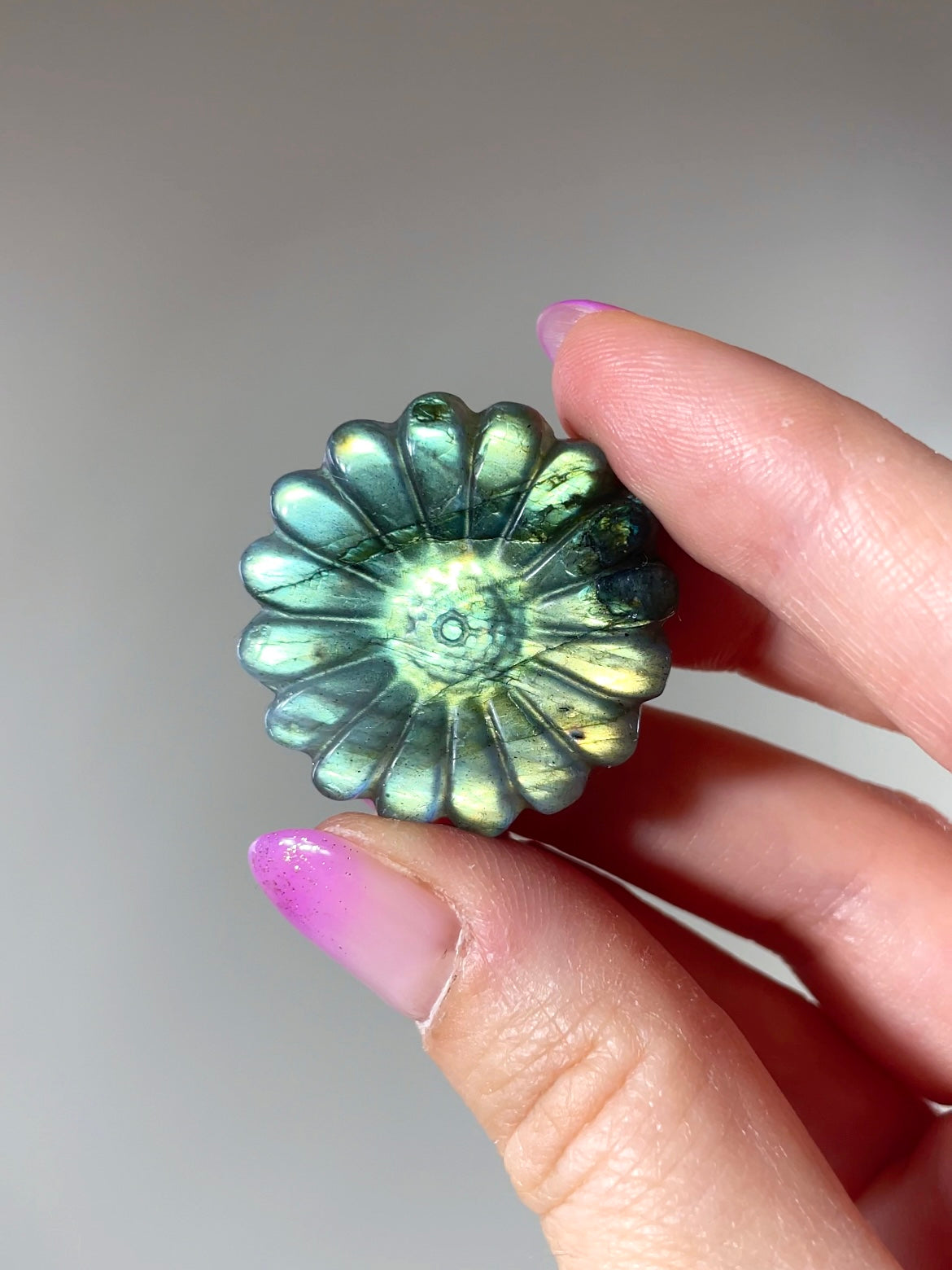 Fleurs Marguerite Labradorite